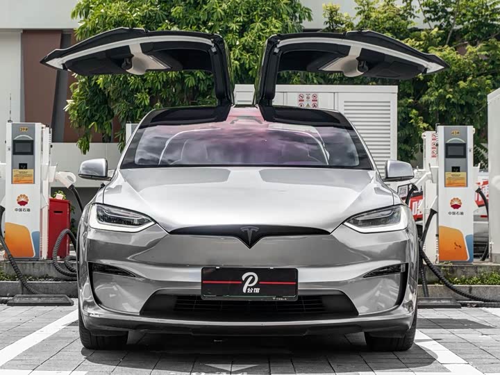 Tesla Model X, 2023 — фото 2 из 9