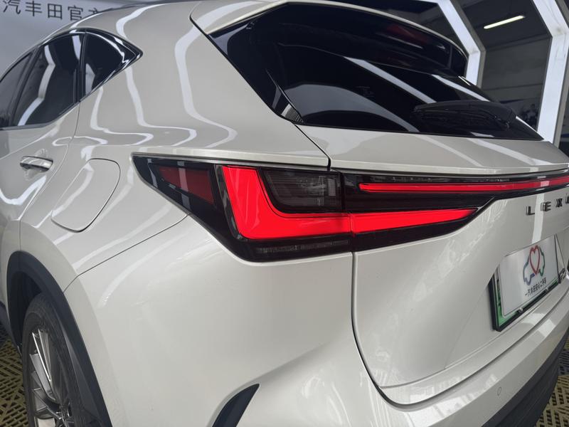 Lexus NX Hybrid, 2021 — фото 8 из 12