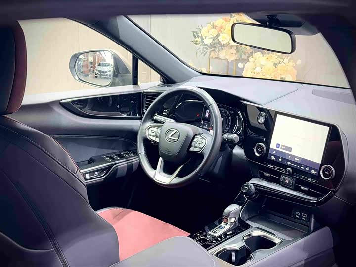 Lexus NX, 2023 — фото 8 из 9