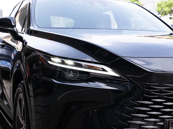Lexus RX, 2024 — фото 6 из 9