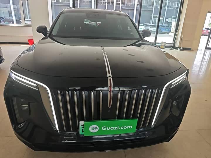 Hongqi E-HS9, 2023 — фото 3 из 9
