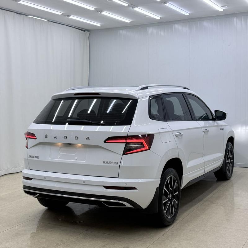 Skoda Karoq, 2024 — фото 6 из 12