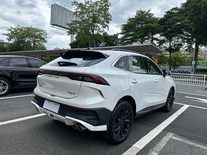 Dongfeng Forthing T5 EVO, 2024 — фото 6 из 9
