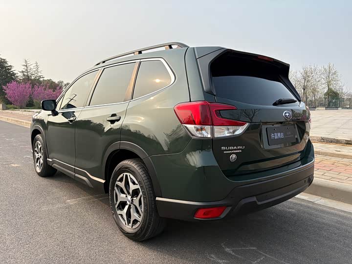 Subaru Forester, 2022 — фото 5 из 9