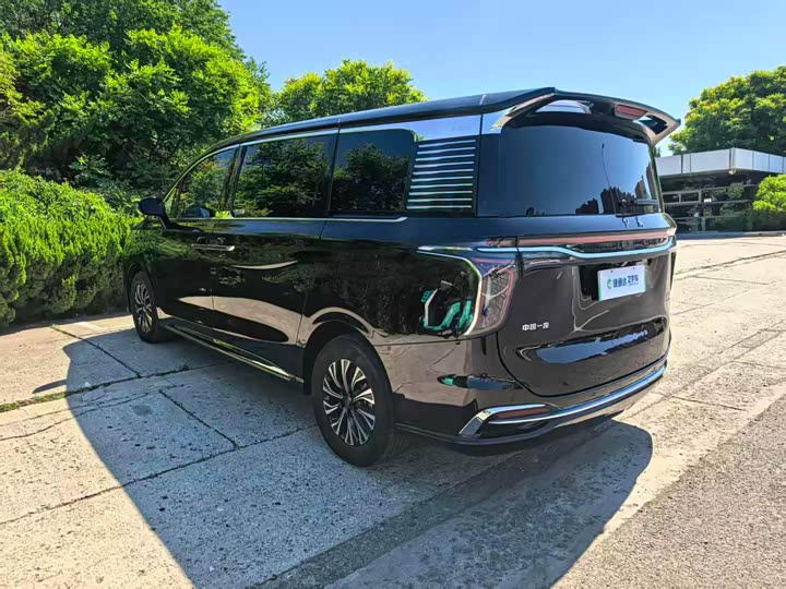 Hongqi HQ9 Hybrid, 2024 — фото 4 из 9