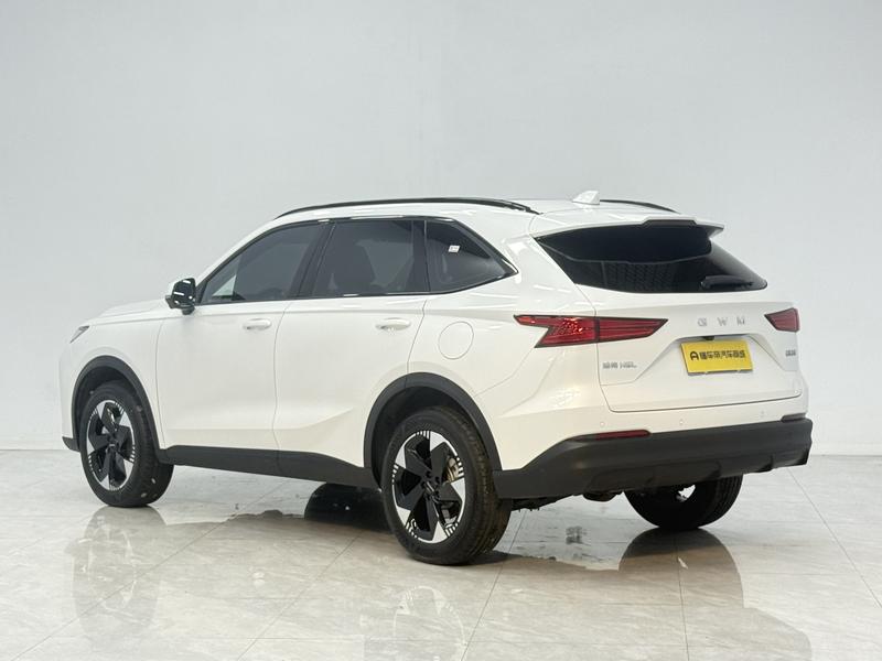 Haval H6L, 2025 — фото 5 из 12