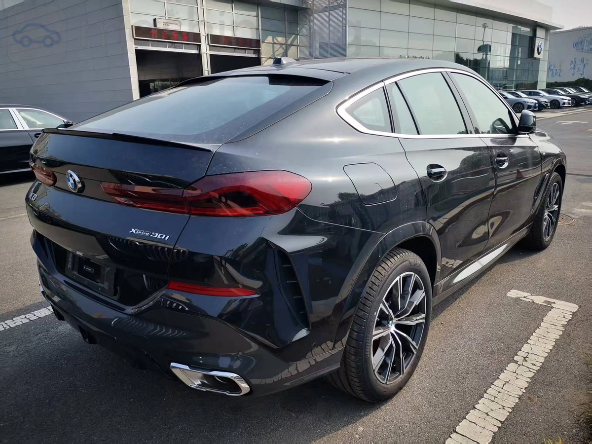 BMW X6, 2024 — фото 2 из 8