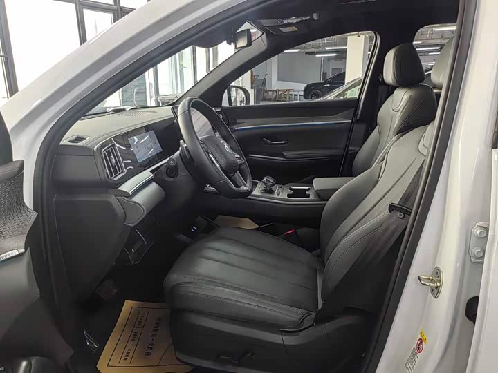 BYD Song Pro Hybrid, 2024 — фото 9 из 9