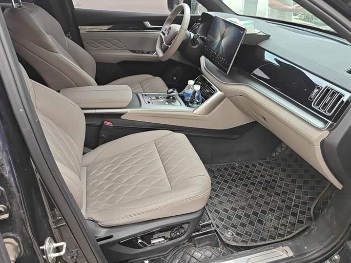 BYD Tang Hybrid/EV, 2025 — фото 8 из 9