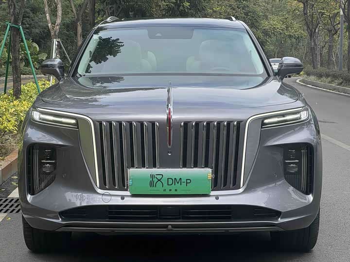 Hongqi E-HS9, 2022 — фото 2 из 7