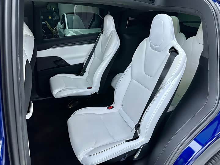 Tesla Model X, 2023 — фото 9 из 9