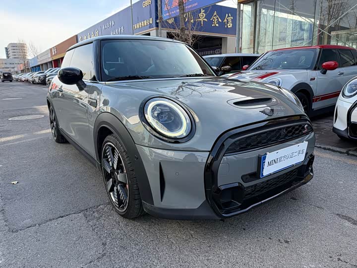 Mini Mini, 2023 — купить в Туле под ключ