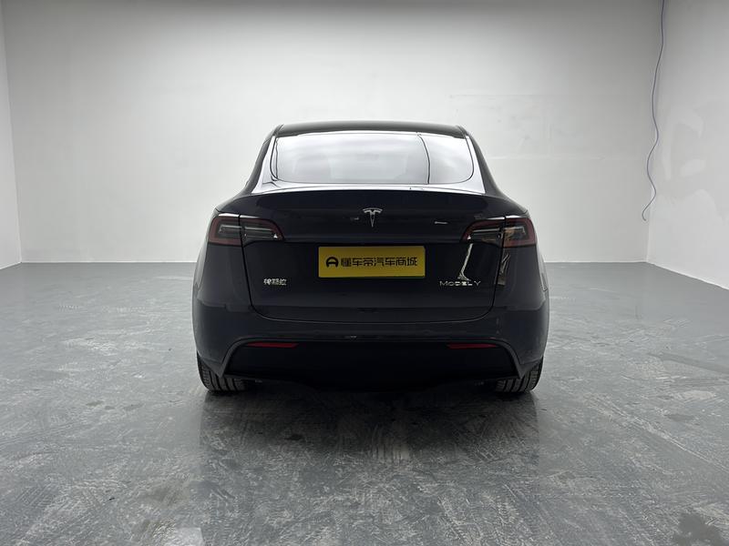 Tesla Model Y, 2022 — фото 6 из 12
