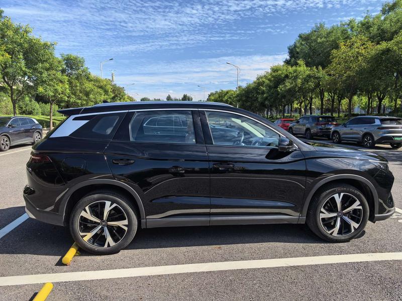 BYD Song Pro Hybrid, 2024 — фото 8 из 12