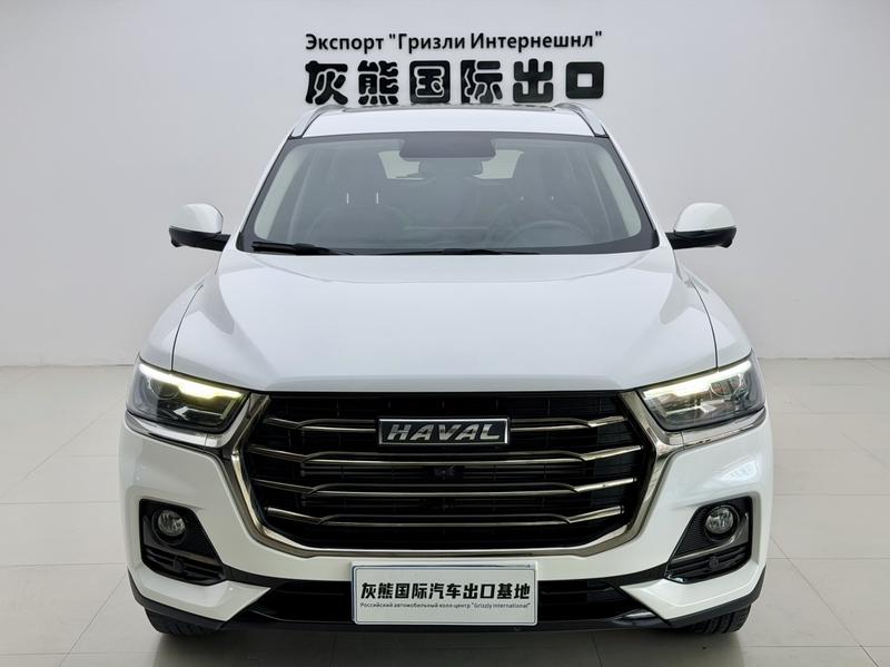 Haval H6, 2021 — фото 2 из 12