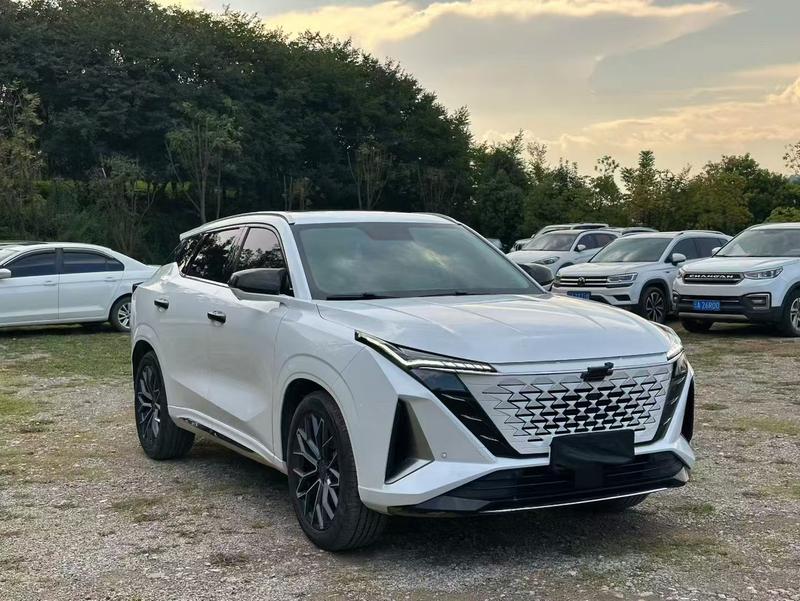 Changan Oshan Z6, 2023 — фото 3 из 10