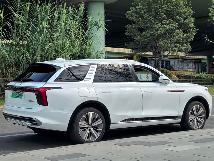 Hongqi E-HS9, 2022 — фото 5 из 9
