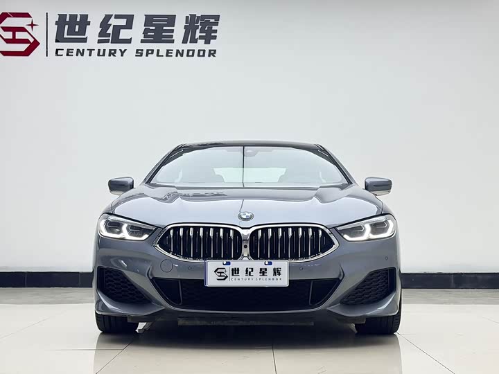 BMW 8 Series, 2023 — фото 3 из 9