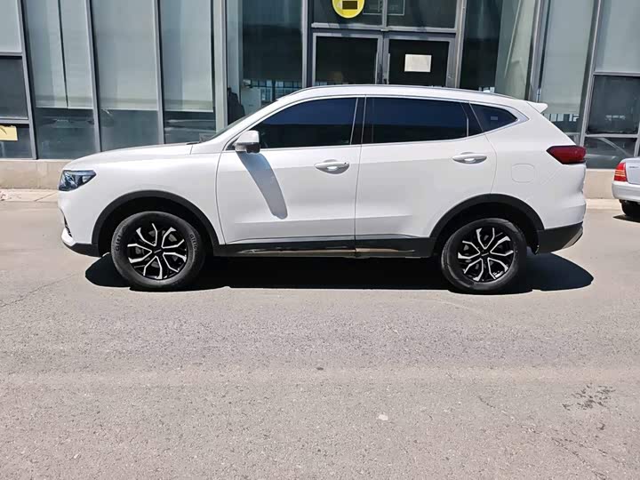 Haval H6, 2023 — фото 2 из 9