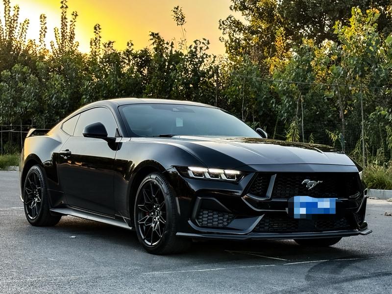 Ford Mustang, 2024 — фото 3 из 8