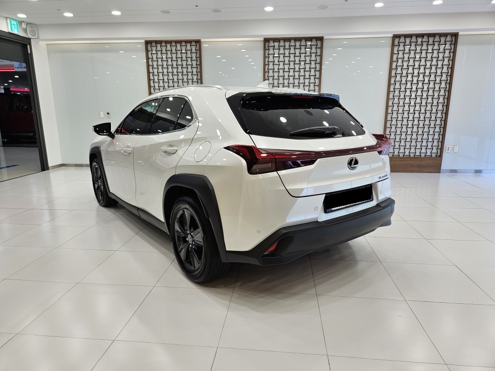 Lexus UX, 2024 — фото 2 из 12