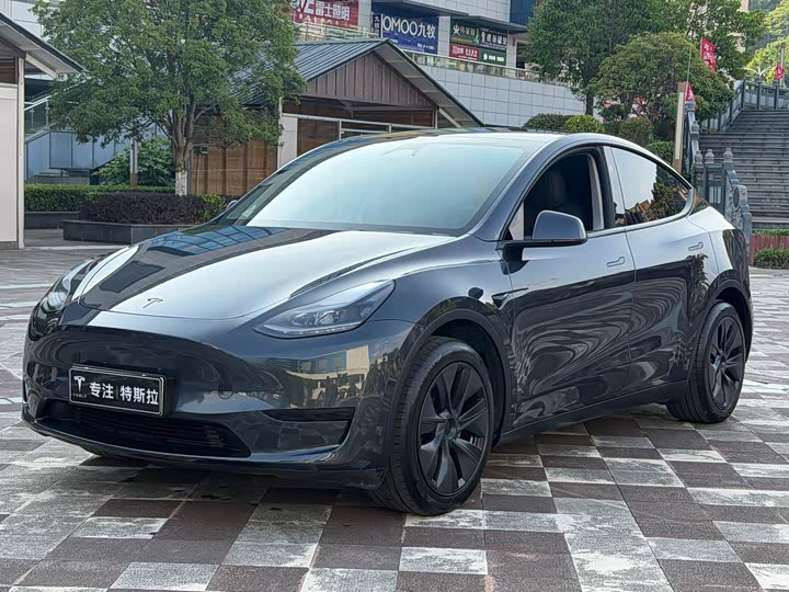 Tesla Model Y, 2024 — купить в Тамбове под ключ