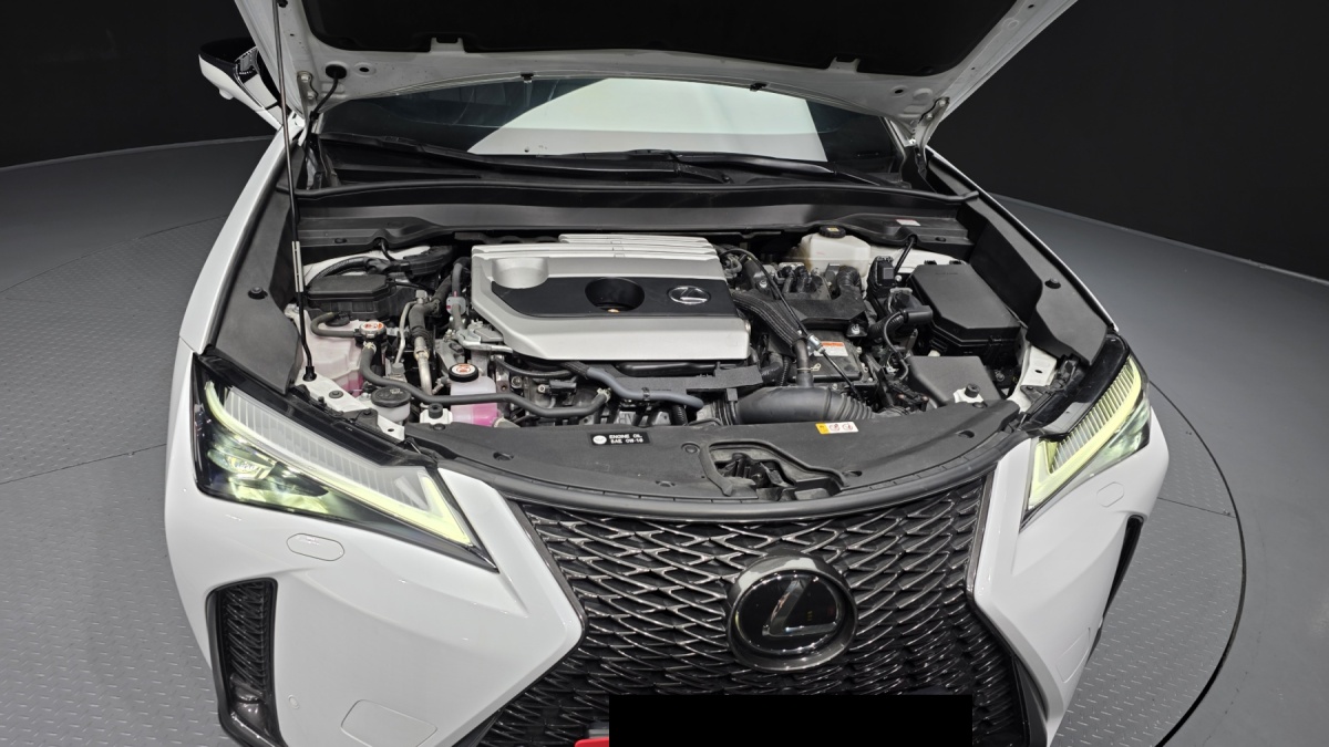 Lexus UX, 2023 — фото 6 из 12