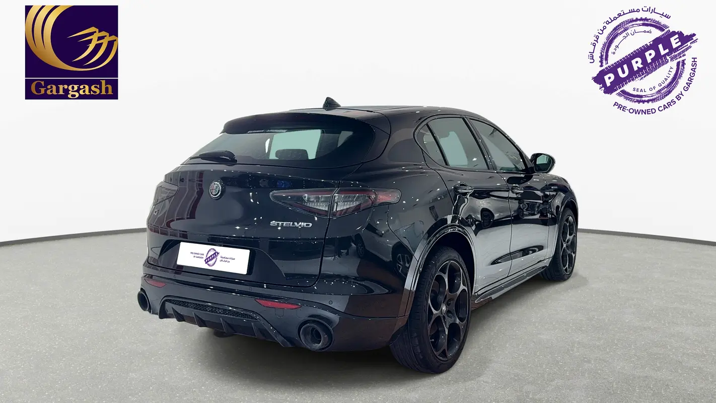 Alfa Romeo Stelvio, 2024 — фото 5 из 10
