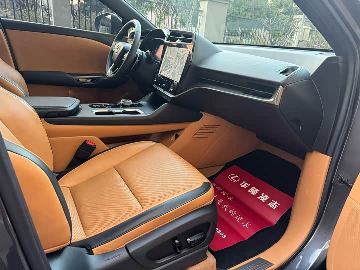 Lexus RZ, 2023 — фото 6 из 9