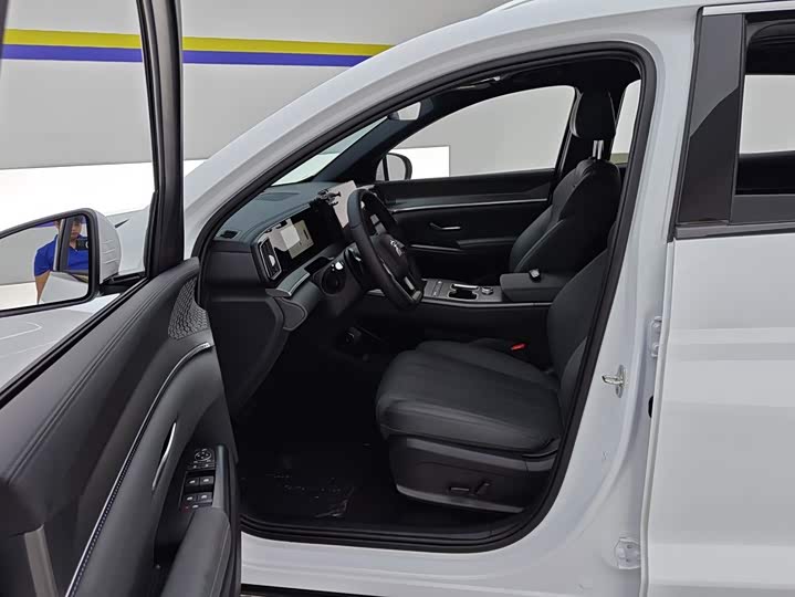 BYD Song Pro Hybrid, 2026 — фото 9 из 9