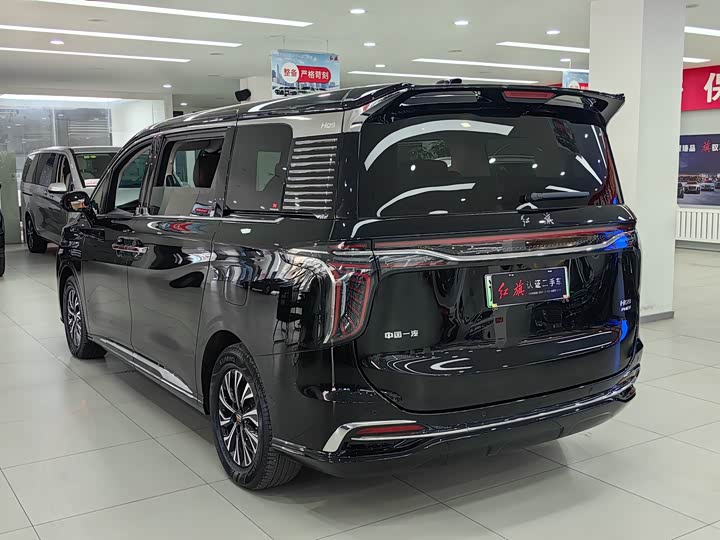 Hongqi HQ9 Hybrid, 2024 — фото 8 из 9