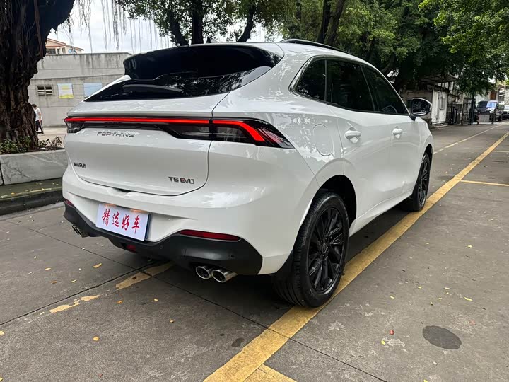 Dongfeng Forthing T5 EVO, 2022 — фото 4 из 9