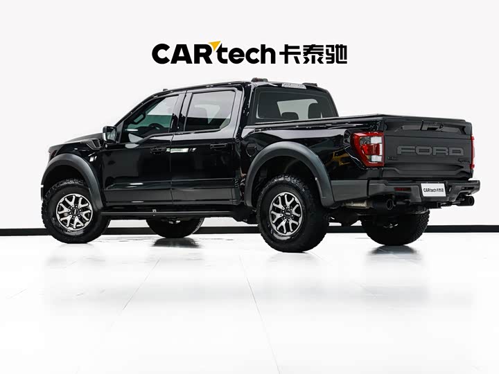 Ford F-150 Raptor, 2023 — фото 6 из 9