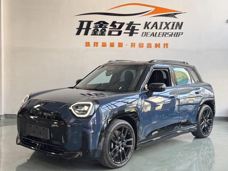 Mini Aceman, 2025 — купить в Брянске под ключ