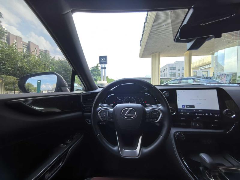 Lexus NX, 2023 — фото 10 из 12