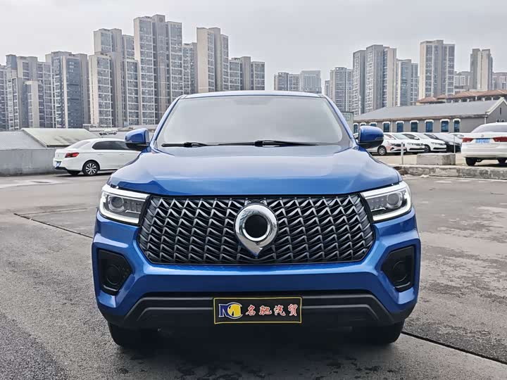 Great Wall Pao, 2024 — купить в Белгороде под ключ
