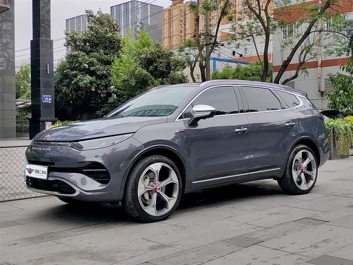 Denza X, 2021 — купить в Ижевске под ключ