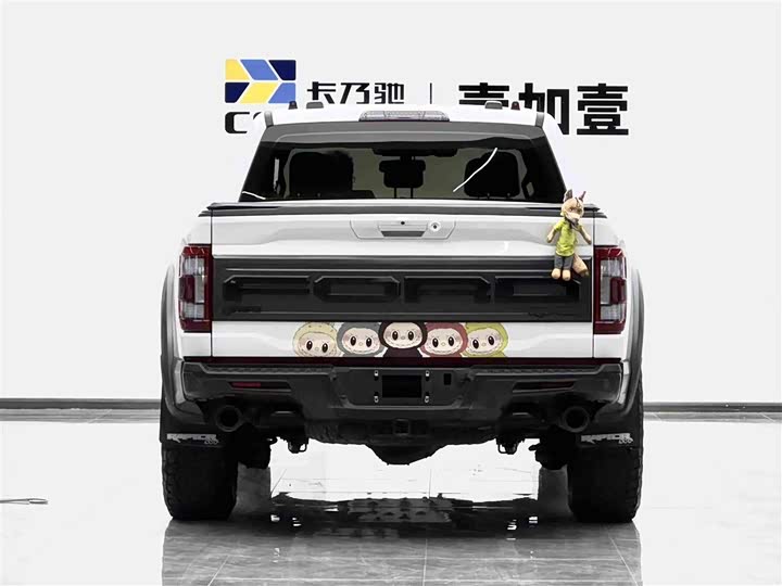 Ford F-150 Raptor, 2023 — фото 5 из 9
