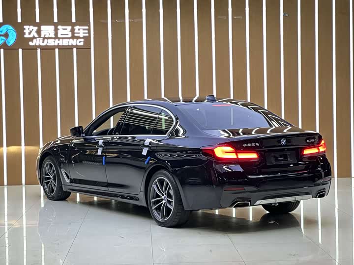 BMW 5 Series Hybrid, 2021 — фото 3 из 9