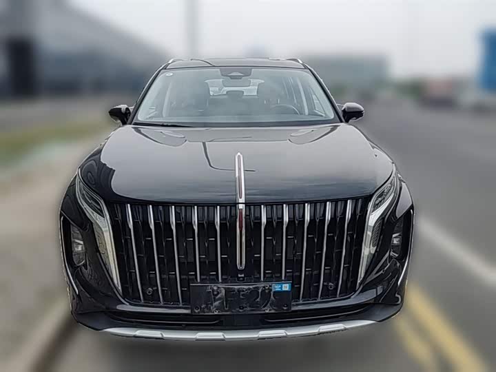 Hongqi HS7 Hybrid, 2024 — фото 5 из 9