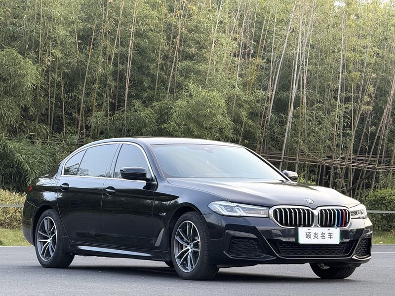 BMW 5 Series Hybrid, 2022 — фото 3 из 11