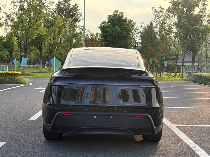 Tesla Model Y, 2026 — фото 5 из 9