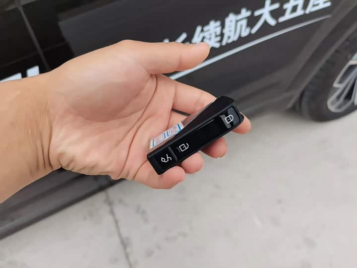 Lynk & Co 09 EM-P Hybrid, 2025 — фото 9 из 9