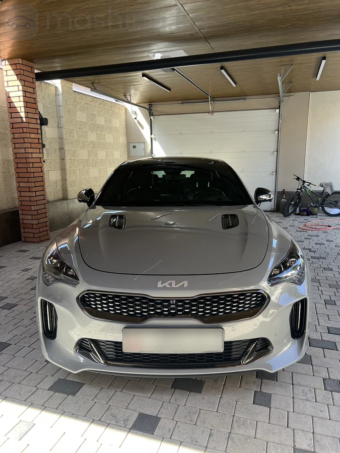 Kia Stinger, 2022 — фото 2 из 12