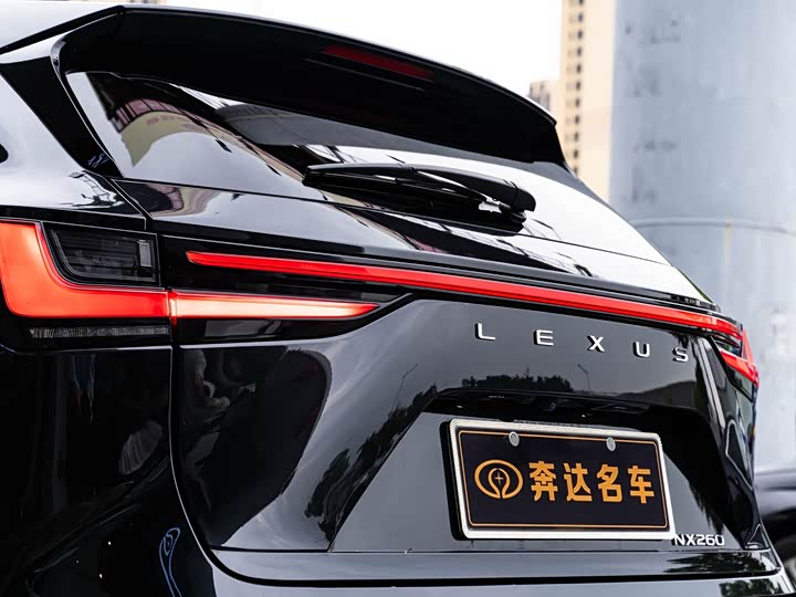 Lexus NX, 2024 — фото 7 из 9