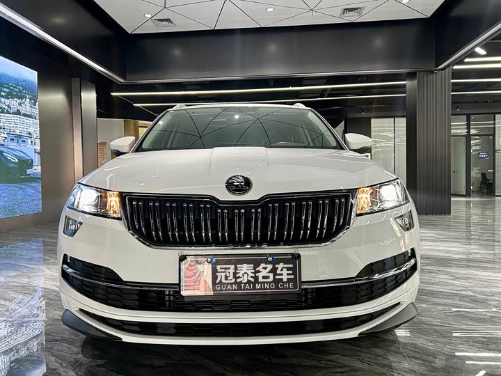 Skoda Karoq, 2024 — фото 2 из 9