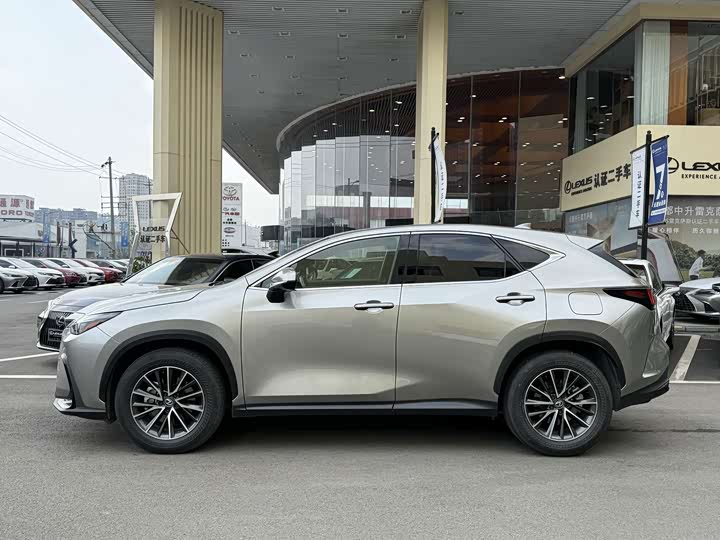 Lexus NX, 2023 — фото 9 из 9