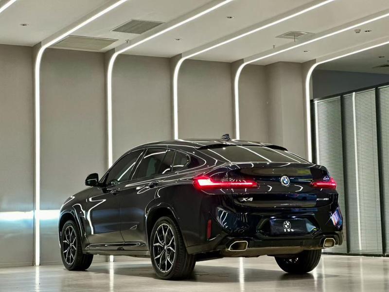 BMW X4, 2024 — фото 4 из 9
