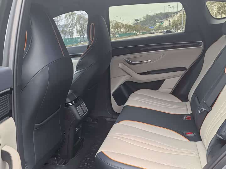 BYD Song Plus Hybrid/EV, 2022 — фото 9 из 9