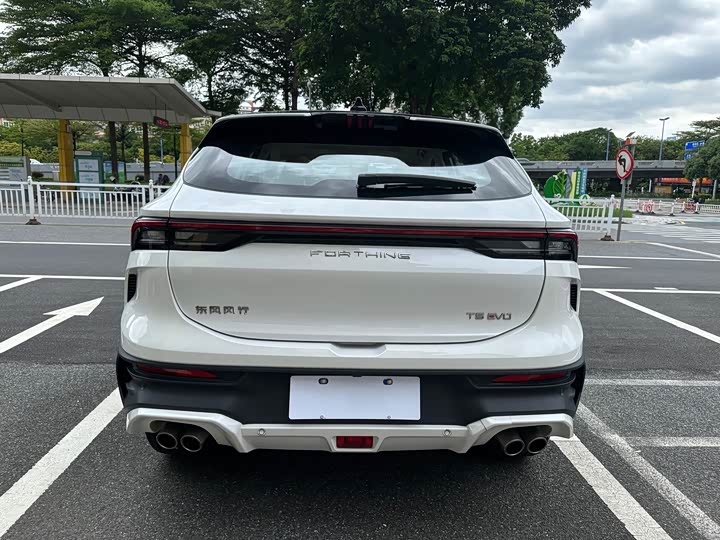 Dongfeng Forthing T5 EVO, 2024 — фото 5 из 9